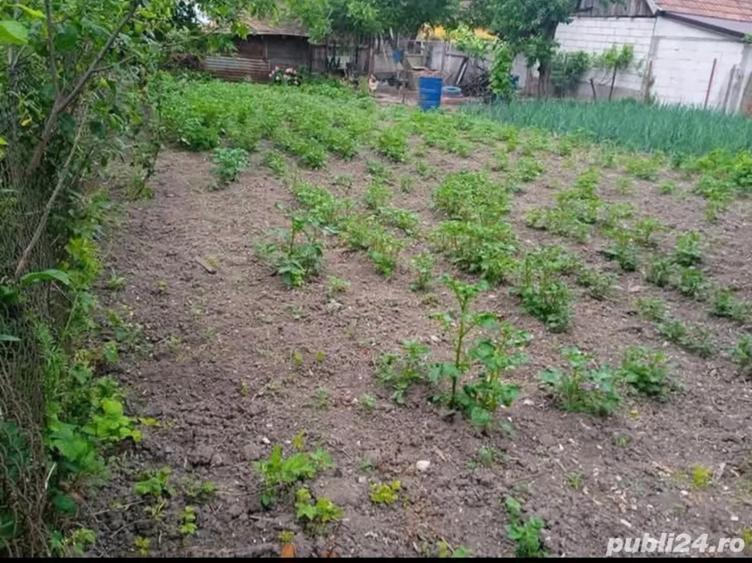 Casa de vanzare la macoviste..sau la.schimb in zona oravita - 1