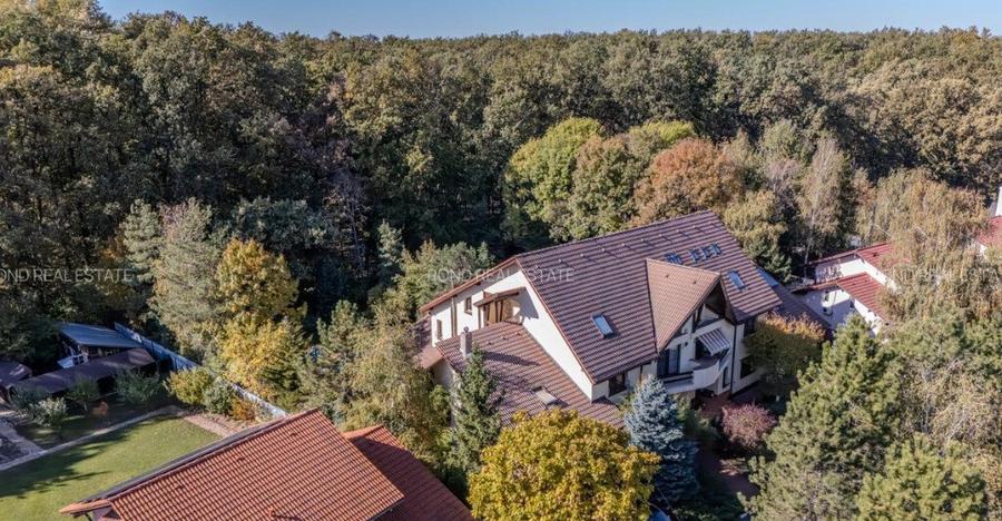 Promotie - vila langa padure cu piscina-Paradisul Verde - 4