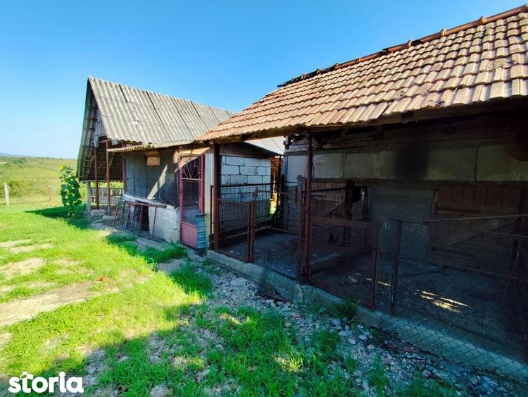 Casa la tara, Calea Mare, Bihor, teren mare, 2 intrari auto vanzare - 10