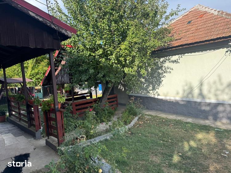 Casă cu 5 camere cu Teren 11000 Mp în Alimpești