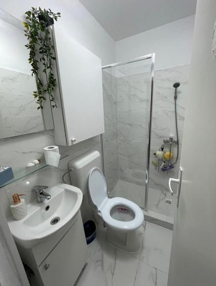 Studio cu gradina si parcare Popesti Leordeni - 3