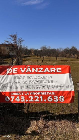 TEREN SOHODOL - UN LOC UNDE NATURA I?I DEVINE PARTENER DE INVESTI?IE - 6