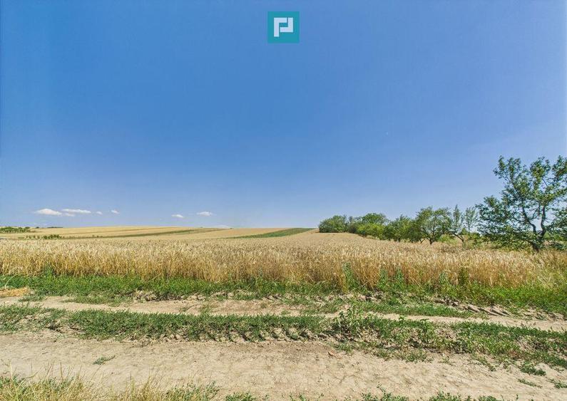 Teren intravilan + extravilan in Remetea Mica - 3