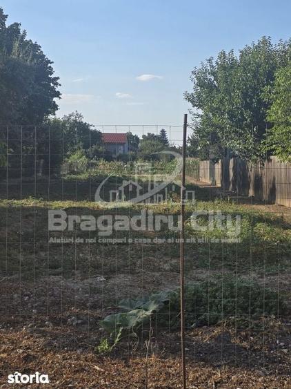 Teren Str Flacara Cornetu acte la zi - 4