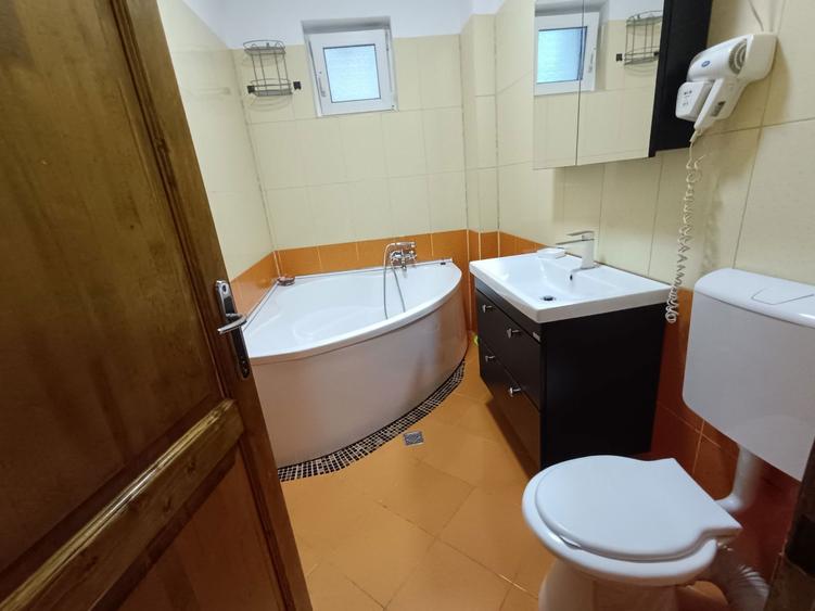 Apartament 2 camere de inchiriat Turnisor - 3