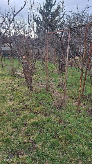 Casa cu teren generos in zona Gheorgheni - 5