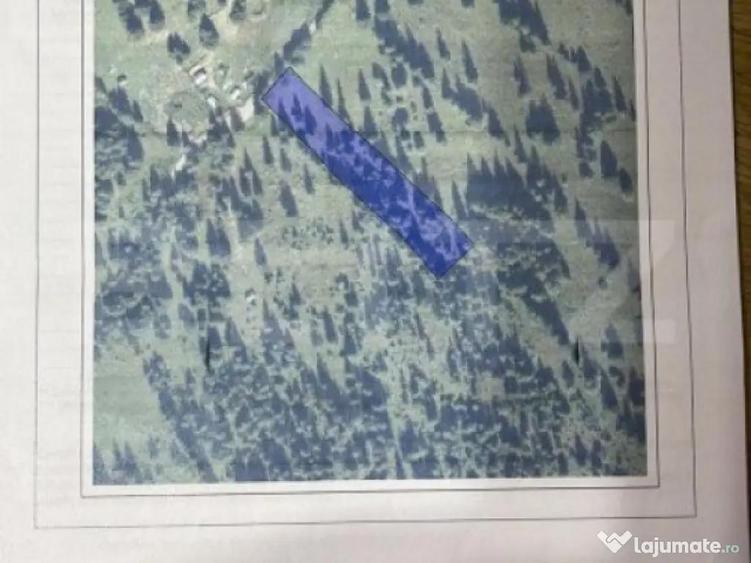 Teren 5000 mp Saru Dornei - 1