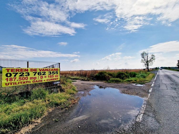 Teren intravilan- ALLEGRIA/ DN4 Glina 187500 mp - 6