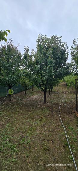 Casa la cheie in Manastirea Doamnei - 5