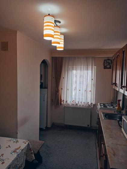 3 camere Popa Sapca , Decomandat / centrala , complet mobilat / utilat ! - 7