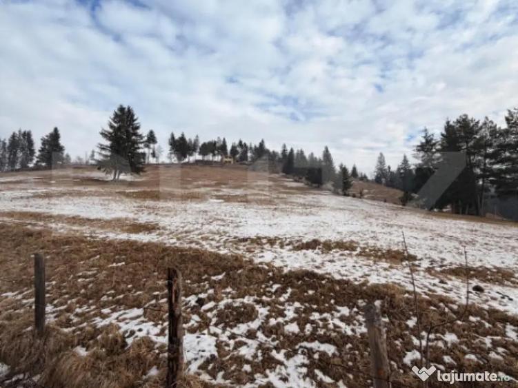 Teren extravilan 8290 mp, Front 50ml - Sadova - Panorama Buc - 3