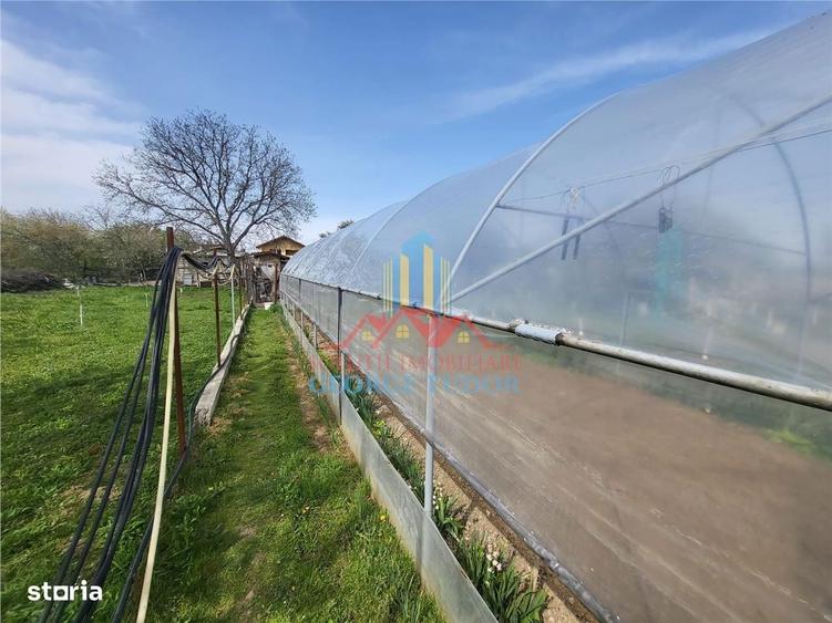 Vanzare casa Bolintin Vale Suseni 104 - 4