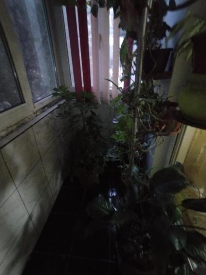 FILICORY APARTAMENT CU 3 CAMERE SE 54 MP PRET 118000 EURO - 6