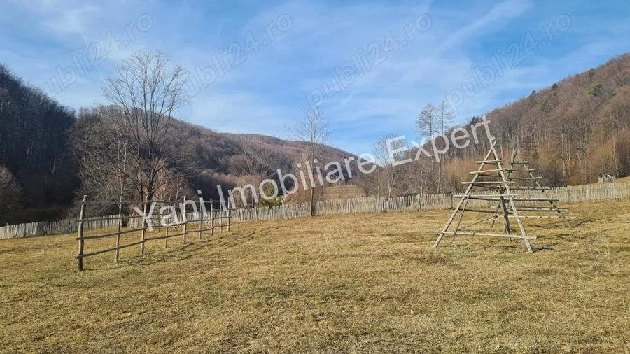 Teren de vanzare in comuna Cicane?ti, Jude? Arge?. - 11