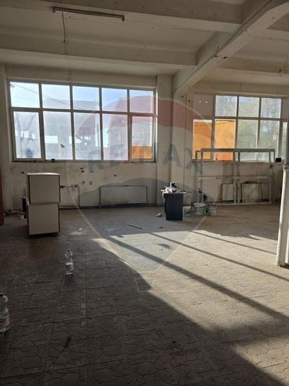 Spatii 200/430 mp lift marfa Baicului platforma industriala - 5