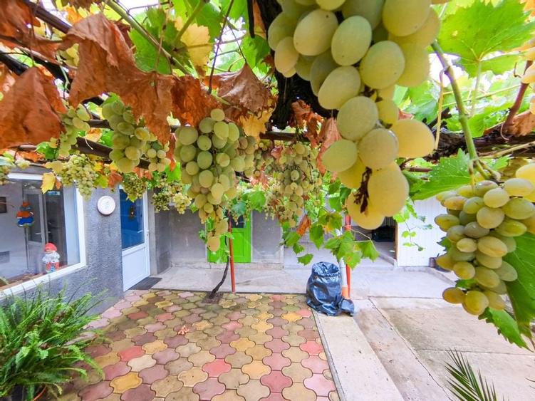 Casă cu 4 camere de vânzare în Buzias - 4