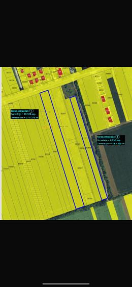 Vânzare Teren Construcții, Intravilan, 6.250mp - 1