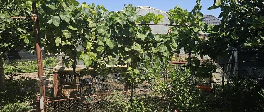 Casa la sol /Ovidiu / garaj - 6