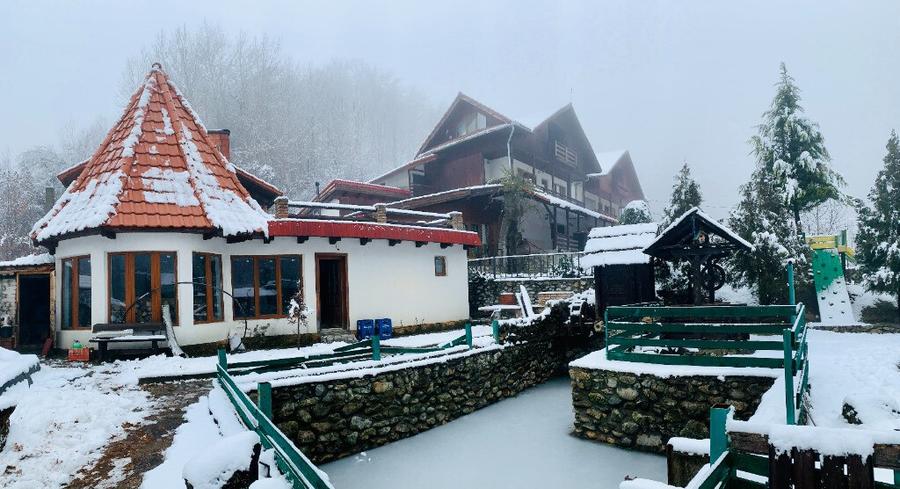 Pensiune 8 dormitoare Gureni, Gorj - 7