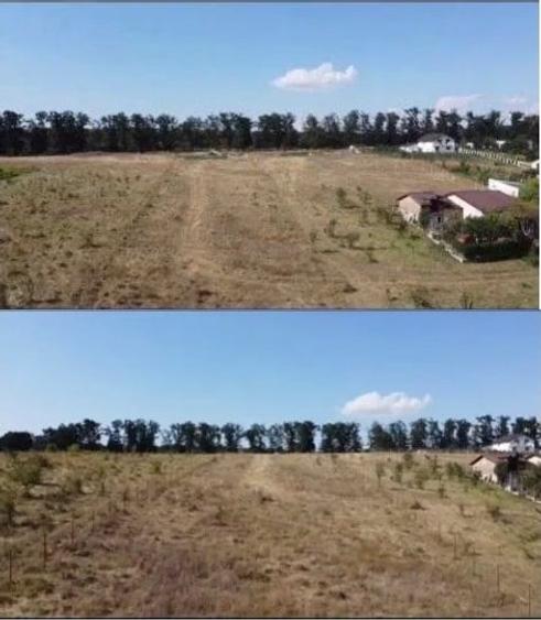 Teren de vanzare intravilan in Branesti IF - 2