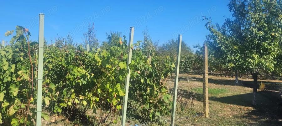 Casa de vanzare in Cornatelu, Dambovita - 3