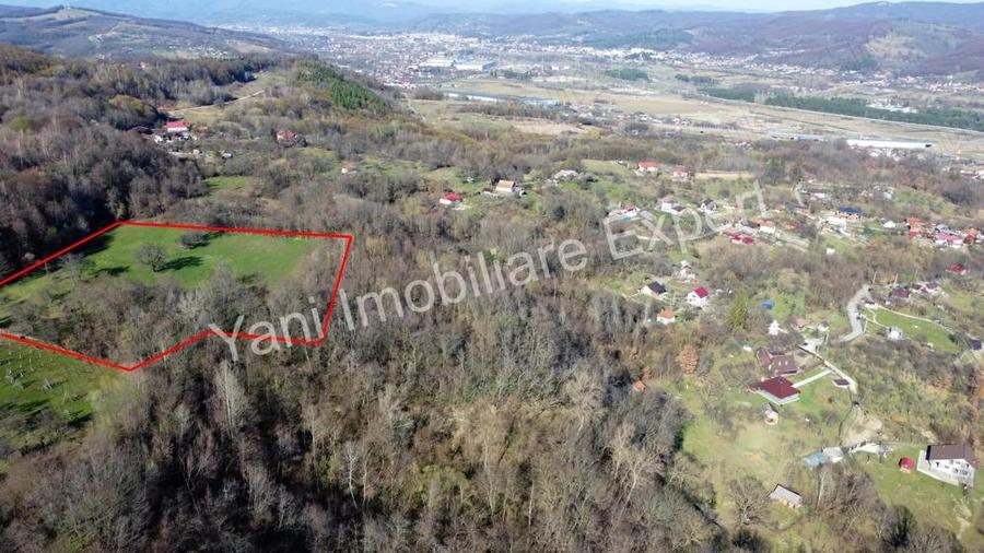 Teren 13.643 mp intravilan de vanzare in Curtea de Arge?. - 7