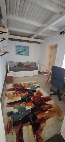 casa saseasca singur curte Cristian central - 3