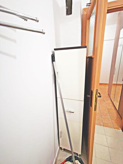 Inchiriere gars ANL Brancusi Valea Ialomitei, metrou Valea Ialomitei - 21