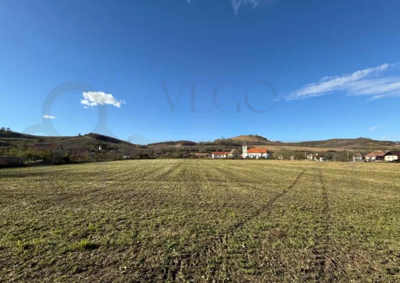 Teren intravilan de vanzare in Alma jud. Sibiu 7.342 m - 4