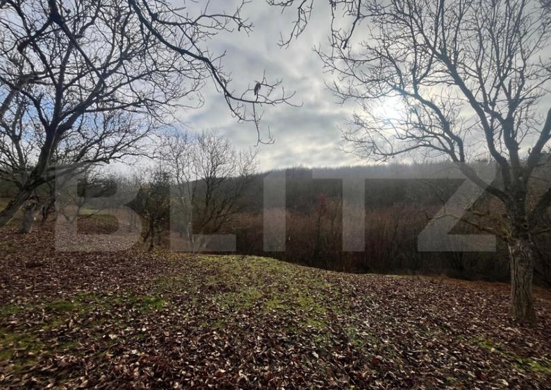 Teren extravilan, 4 hectare, langa livada de mere Ghinda - 1