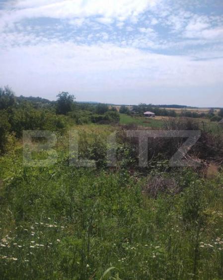 Teren intravilan Ardud Vii - 1