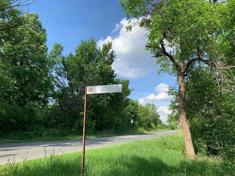 Vand teren zona Carasova! - 5