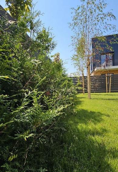 Casa Noua Ghimbav model Sigma Predare Decembrie 2026 - 9