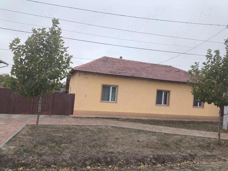 Casa de vanzare la Sannicolau Mare - 8