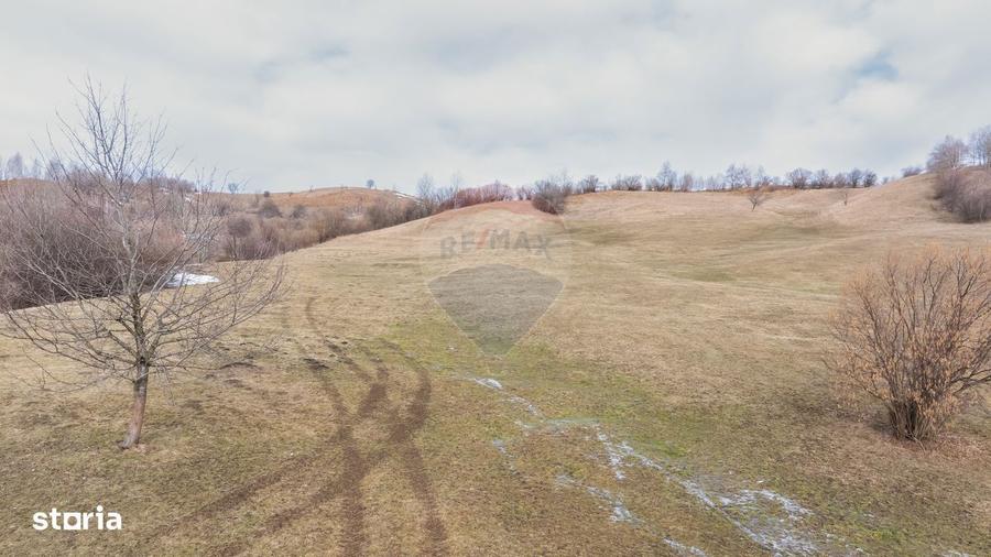 Teren Tohanul Nou 5602mp - 11