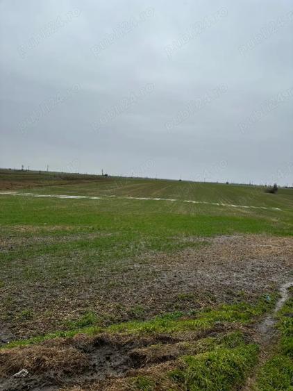 Vand casa ?i teren intravilan - 7