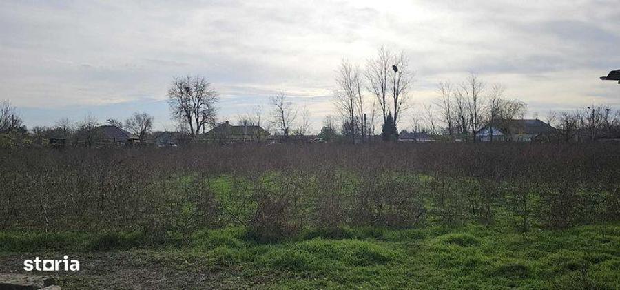 Vand teren 5106mp cu casa 3 camere, Mereni, Constanta - 1