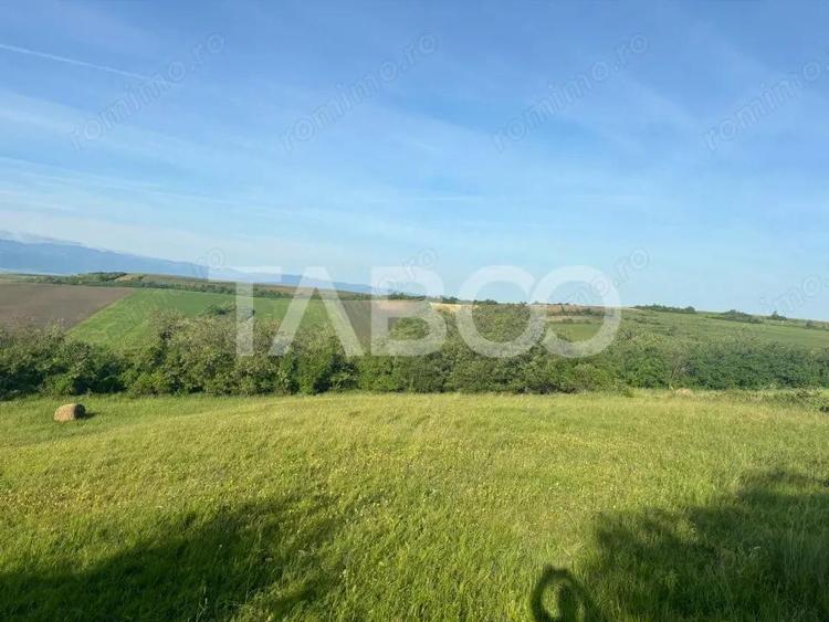 Teren de vanzare intravilan 8900mp Sura Mare zona deosebita - 2