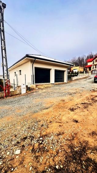 APA SARATA casa deosebita 300mp cu 2 garaje si 8ari teren! - 8