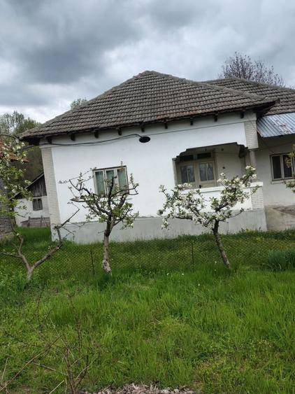 Case si teren de vanzare - 5