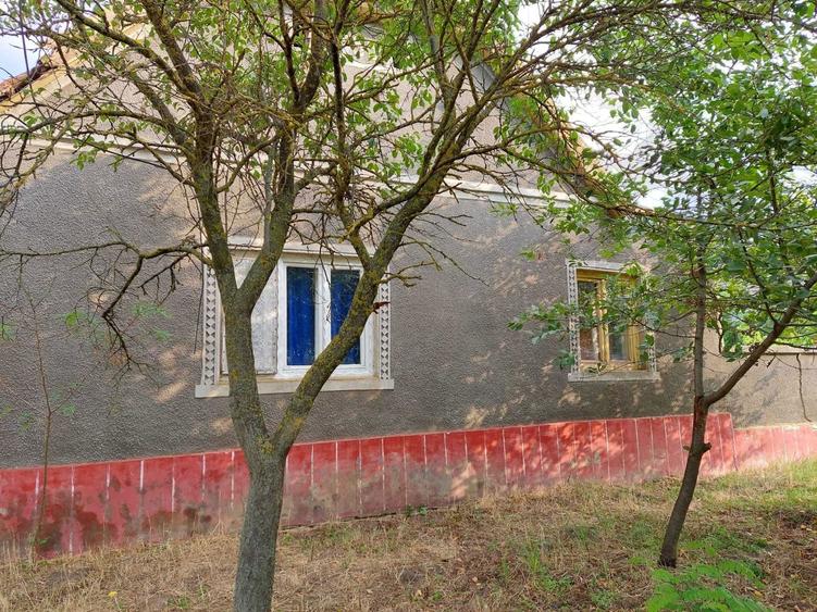 Casa de vanzare Arad - 2
