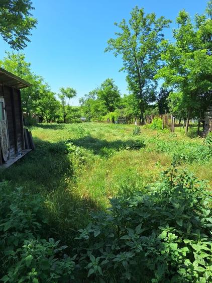 Mihai Viteazu, jud. Calarasi - 6