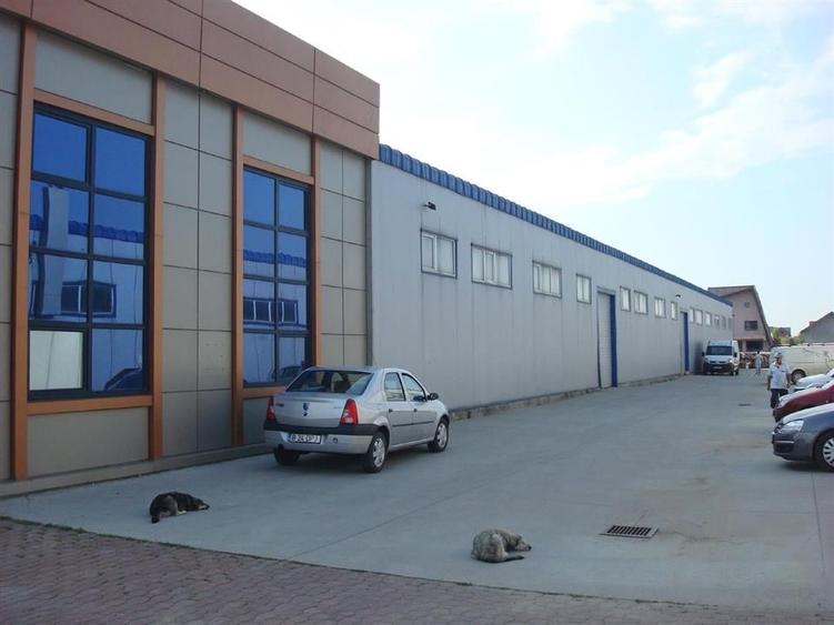 Zona Est - Pantelimon - Selgros - 6