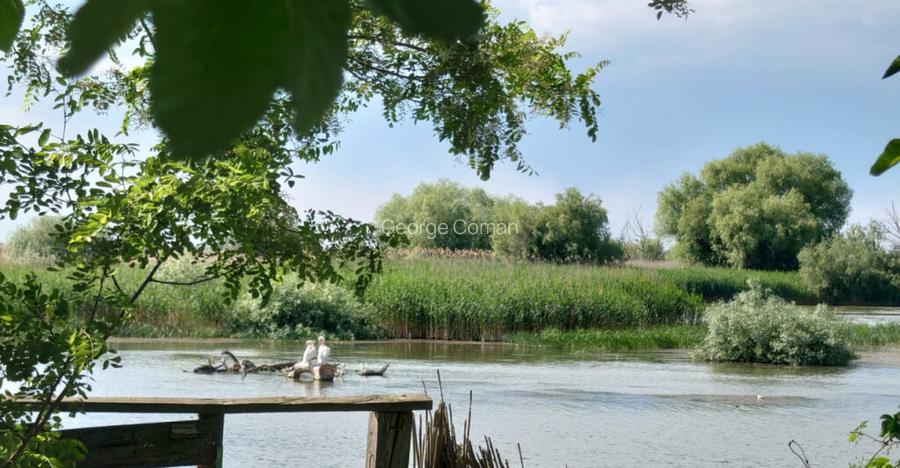 MILA 23 - CASA BATRANEASCA CU DESCHIDERE LA DUNARE 18 ML , T MILA 23 - CASA BATRANEASCA CU DESCHIDERE LA DUNARE 18 ML , T