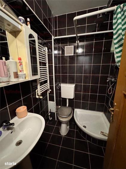 Vanzare vila D+P+2 | Vatra Luminoasa - Maior Coravu | extinsa cu autor - 16