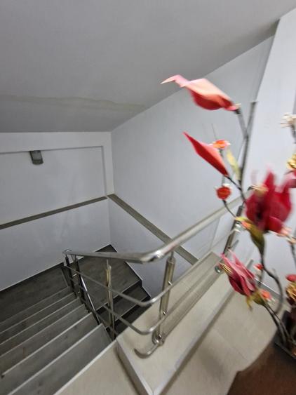 Vila 10 camere Dristor / Park Lake / Piscina Curte 430 mp - 13