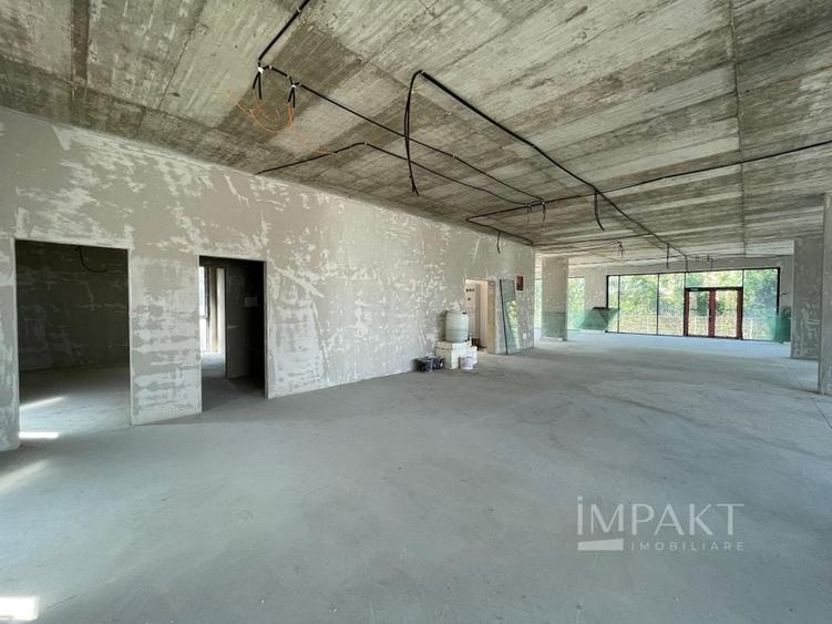 Imobil Mixt spre inchiriere in Sannicoara! - 7