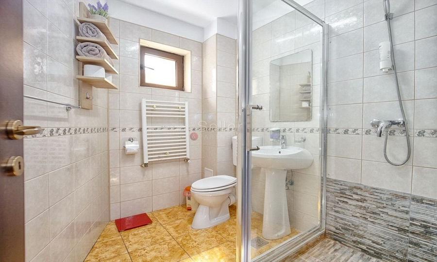 Pensiune Turistica Montana - 11