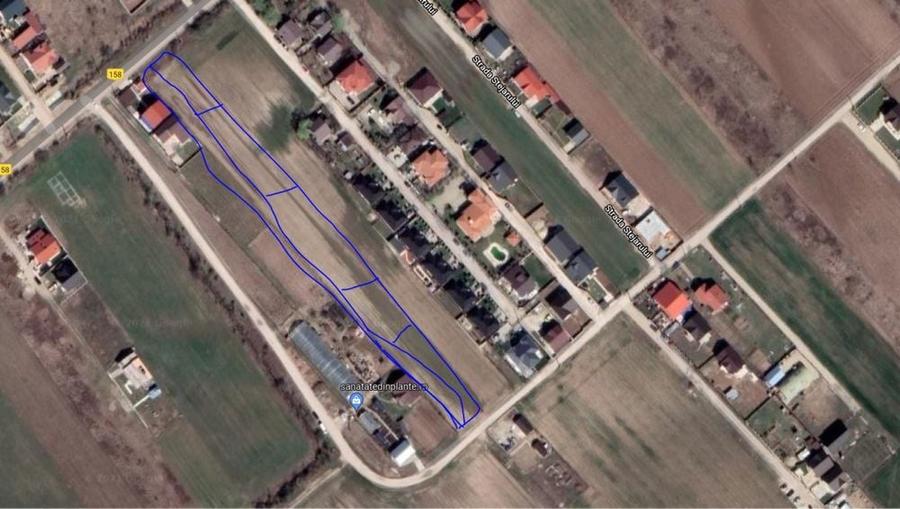 Vand teren intravilan loturi 400 mp CREVEDIA-DARZA 2km de Buftea - 7