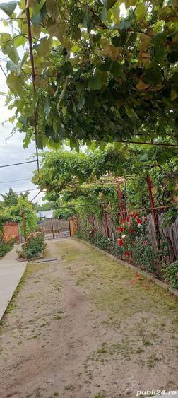 Vila P+1 in Craiova 250000 - 4